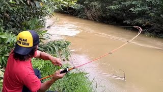 Rame-Nya..!! mancing saat sungai pasang 1 tempat dapat banyak