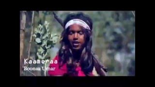 Mulu Baqqalaa Ebla 2016