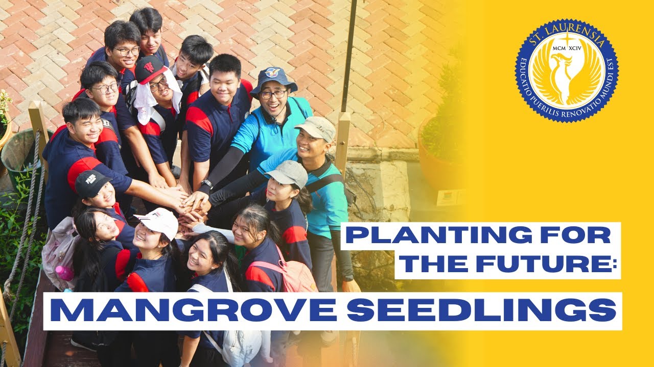 tanam-10-000-sepuluh-ribu-bibit-mangrove-youtube