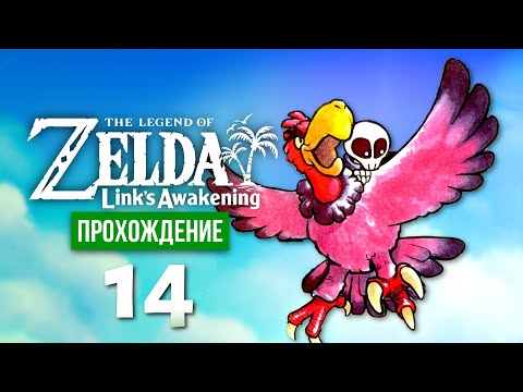 Видео: Хищная птица ※ The Legend of Zelda: Link's Awakening #14