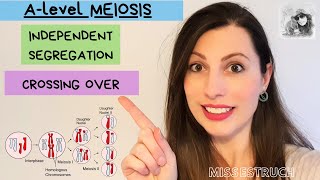 MEIOSIS A-Level Biology - How CROSSING OVER and INDEPENDENT SEGREGATION introduce genetic variation