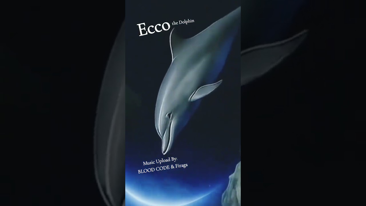#Ecco