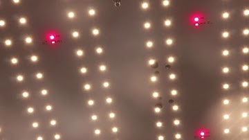 Koray 240W Osram Oslon SSL 660nm 730nm Samusng LM301H Quantum Board LED Grow Light