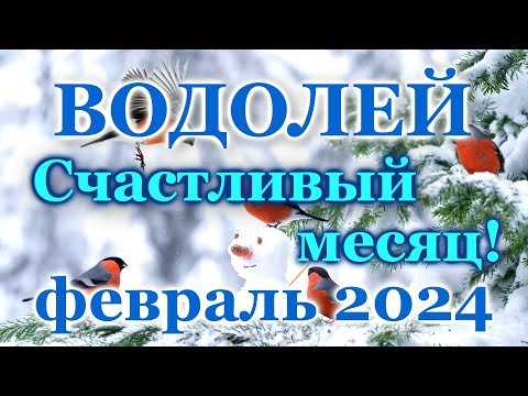 ВОДОЛЕЙ - ТАРО ПРОГНОЗ на ФЕВРАЛЬ 2024 - ПРОГНОЗ РАСКЛАД ТАРО - ГОРОСКОП ОНЛАЙН ГАДАНИЕ