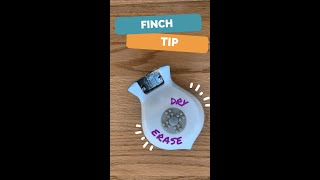 Finch Tip: Dry Erase