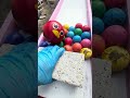 An exciting marble race is coming soon! Marble Run Race ⭐︎2