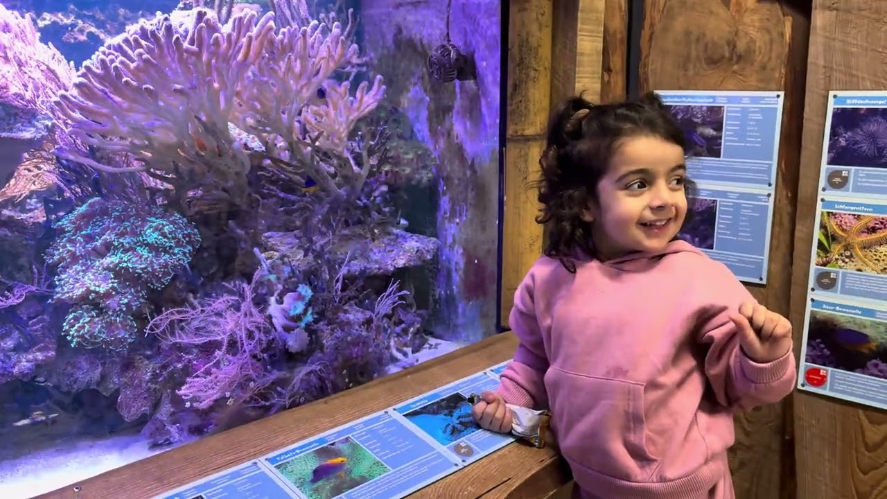 “زيارة ساحرة إلى حديقة حيوانات نونيكيرشن (ألمانيا) – اكتشاف وتعلم للأطفال” 