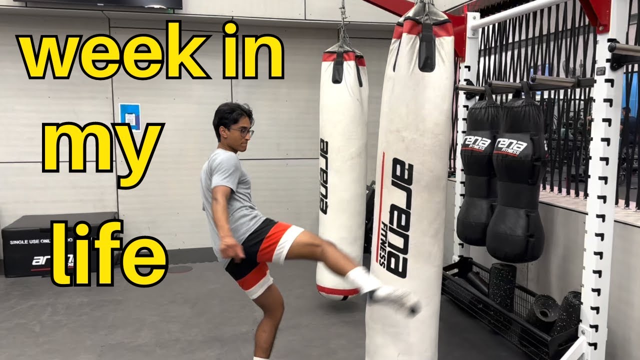 Week In The Life Of A Monash CS Student summer Holidays YouTube week-in-the-life-of-a-monash-cs-student-summer-holidays-youtube