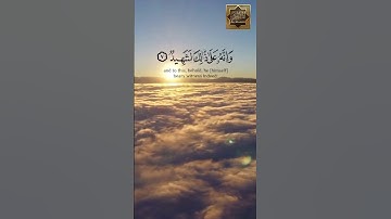 سورة العاديات - القارئ هزاع البلوشى