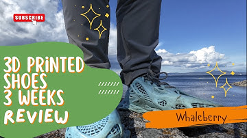 3 Weeks with 3D Printed Shoes – Are They Falling Apart? (Whaleberry Review)