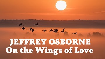 Thumbnail of Jeffrey Osborne - On the Wings of Love....Love song...