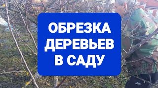 26ч🌹 #купилидомнаюге #переезднаюг /Работа в саду/Посадки-пересадки