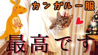 お腹に猫を入れるカンガルー服が最高過ぎなんだが…