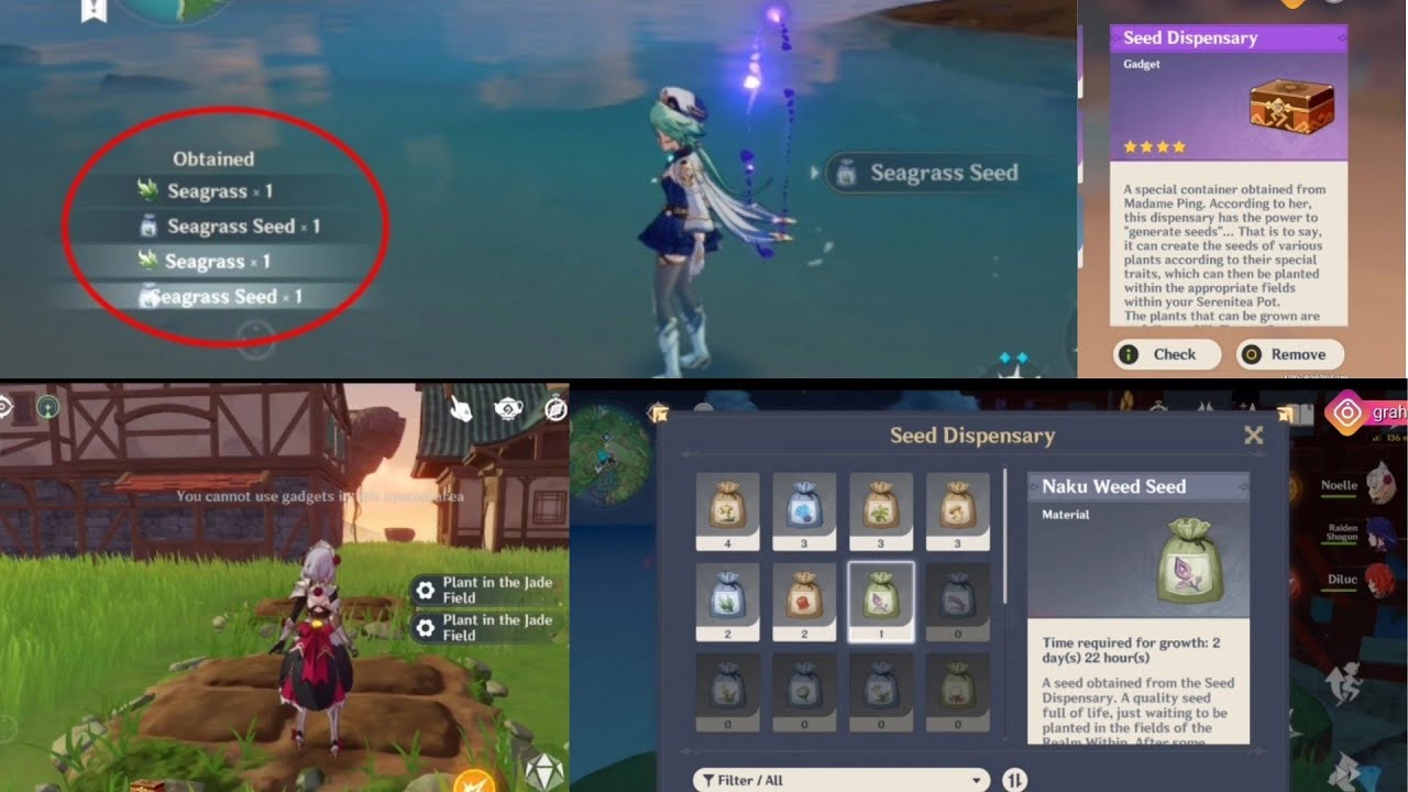 Genshin Impact - How to use & Get Seed Dispensary ( for Planting in  Serenitea Pot)
