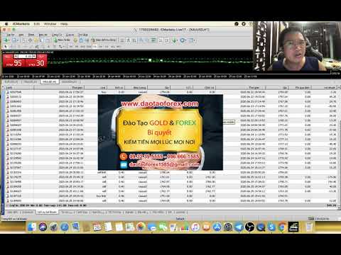 PRICE ACTION - YouTube