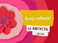 Оформление телеканала Карусель 2015г Оформление телеканала Карусель 2015г