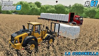 Farewell to Sunflower Season, Hello Paper Production | La Coronella Farm | FS 22 | Timelapse #67