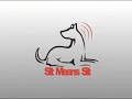 'SIT MEANS SIT' DOG TRAINING LOGO COMES TO LIFE.