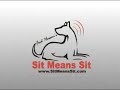 'SIT MEANS SIT' DOG TRAINING LOGO COMES TO LIFE.