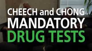 Cheech and Chong Take Stoner Tests for 4/20 | WHAT'S TRENDING