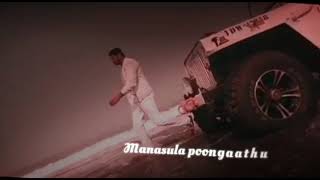 manasula