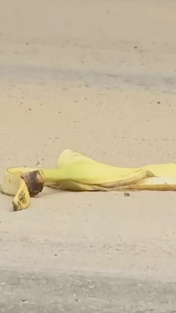 Banana Peel Prank | Just For Laughs Gags