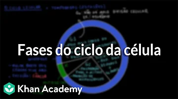 Em que fase do ciclo celular ocorre a transcrição?