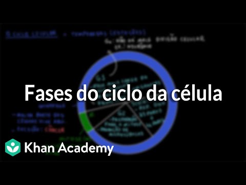 Fases do ciclo da célula