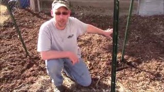 How to Sheet Mulch a Garden Bed