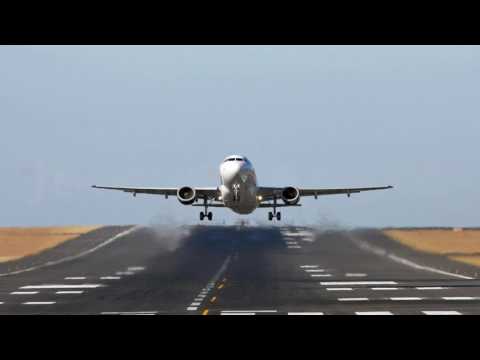 Young Lions Georgia - FILM | Followfox