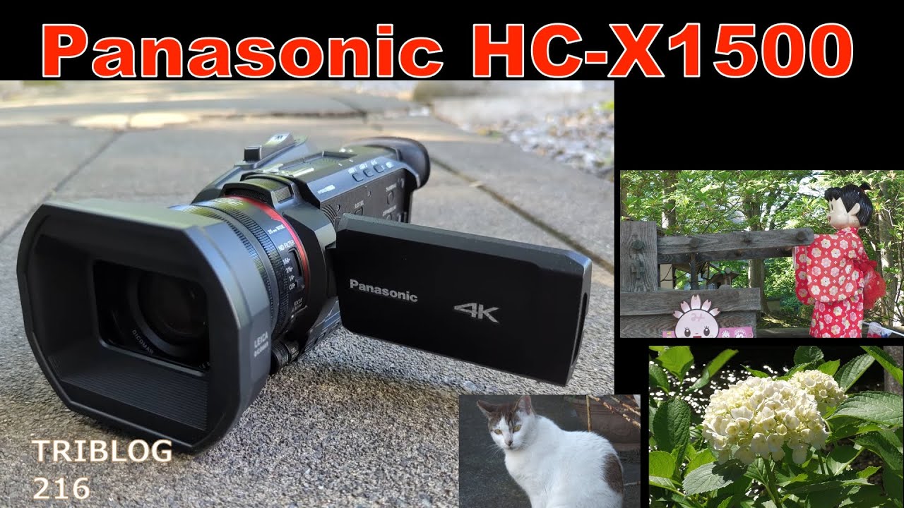 Panasonic HC-X1500 Sample Footage (Misima city, Shizuoka Japan