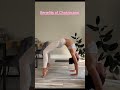 Chakrasana for Weight Loss: पेट की चर्बी और पीठ दर्द का पक्का इलाज! 🔥