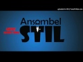 Ansambel Stil - Le tvoj (432Hz Natural Tuning)