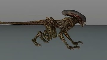 FREE "Aliens Fireteam", 3D models, animations , Textures 2 (.c4d)