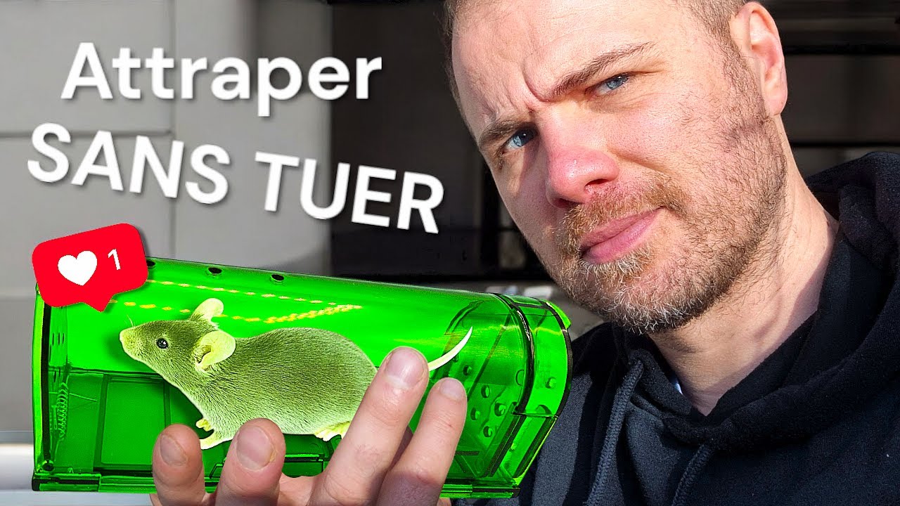 Comment attraper les souris vivantes avec des pièges ? YouTube — free download