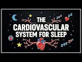 Anatomy and Physiology: The Cardiovascular System for Sleep - Complete Heart & Blood Course