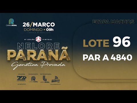 LOTE 96 PAR A4840