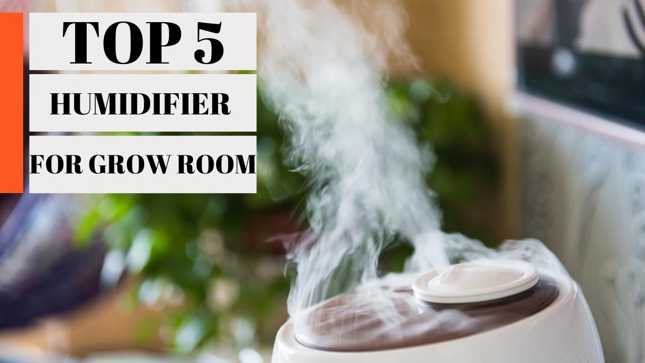 TOP 5 Best Humidifier for Grow Room 2023 YouTube