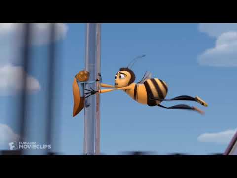 Movie screams and shouts but only The screaming