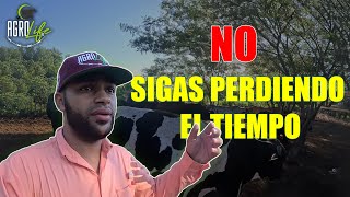 ESTE NEGOCIO asegura un 35% de GANANCIAS  || AgroliferdTV