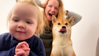 HOME ALONE WITH TODDLER AND DOG [LIVING IN POLAND] 2023