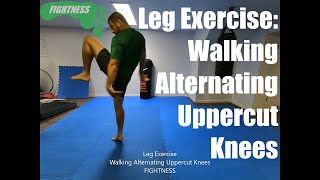 Leg Exercise - Walking Alternating Uppercut Knees - Fightness MMA