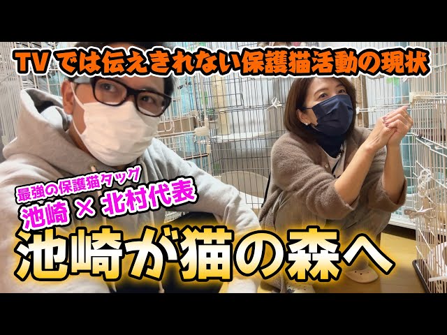 池崎が猫の森を訪問！池崎×北村代表の最強保護猫タッグ！TVでは伝えきれない保護猫活動の現状【悪徳保護猫団体＆闇オークション】