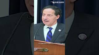 Raskin Calls to Decriminalize Cannabis at Hearing