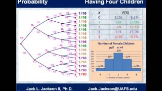 Statistics 2.6.1 Multistage Probability