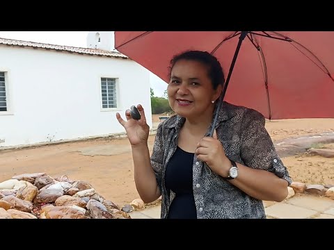 PESQUISA LULA X FLÁVIO BOLSONARO EM MT, RS, RJ E SP DA VITÓRIA A LULA!