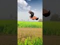 भाई मेहनत करने के बाद भी कोई सपोर्ट नहीं करता भाई Back flip #trending #hitsong #viralmusic