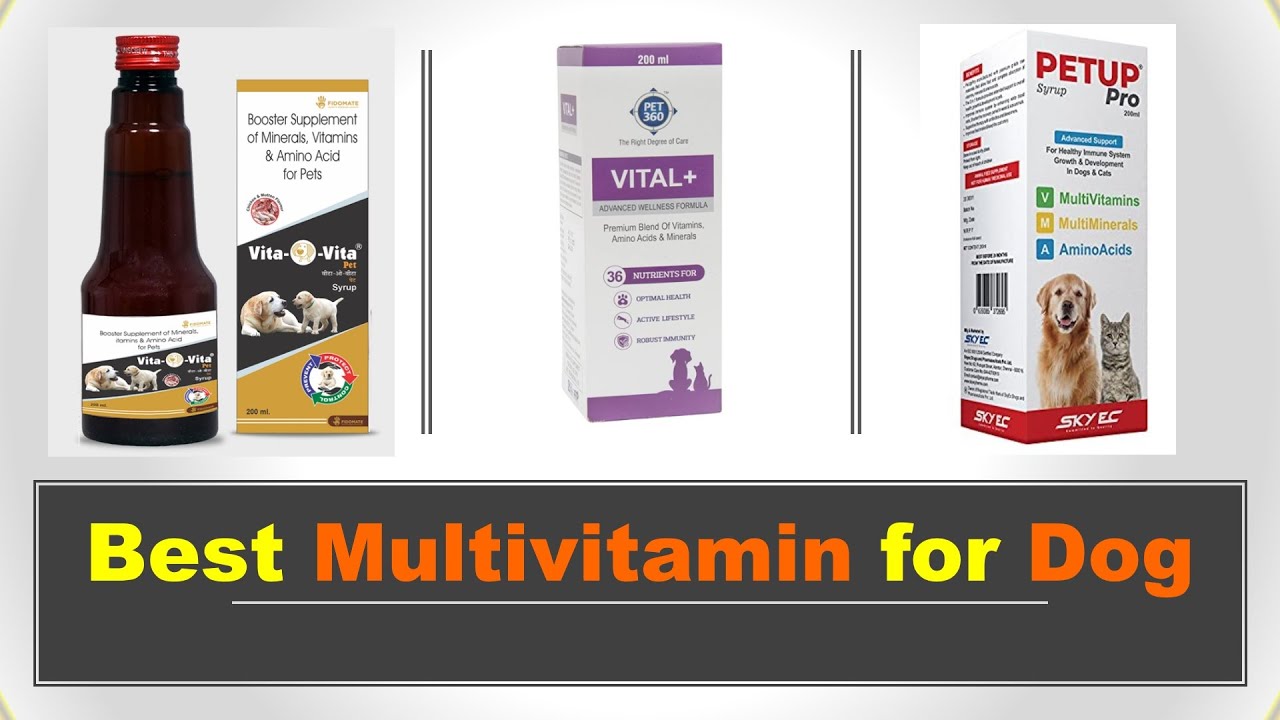 Best Multivitamin for Dog in India 2023 कुत्तों के लिए मल्टीविटामिन