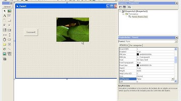 Visual basic 6. 0 mover imagen en tiempo de ejecucion