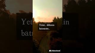 Şifa istemem balından.. #hayalkırıklığı #psikoloji #motivasyon #aforizmalar #öneçıkar #dark #film